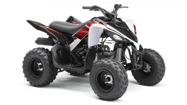 YFM90R White