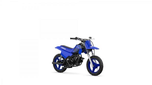 PW50 Icon Blue